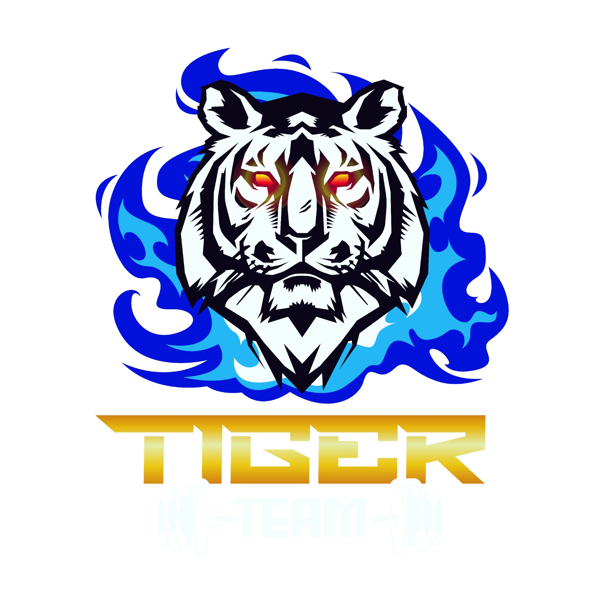 Tiger Team